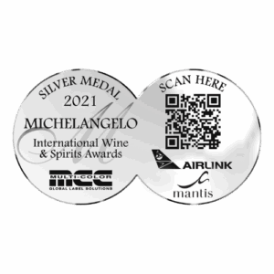 Michelangelo Silver Medal 2021